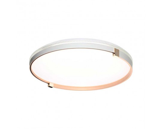 Настенно-потолочный светодиодный светильник Sonex Pale Olidi White 7646/DL