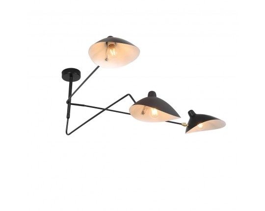 Потолочная люстра ST Luce Spruzzo SL305.402.03