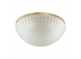 Потолочный светильник Odeon Light Modern Malaga 4936/4C