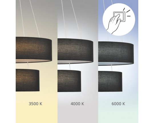 Подвесная люстра Lumion Sava 8373/55L