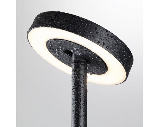 Ландшафтный светильник Odeon Light Disc Nature 7189/6GL