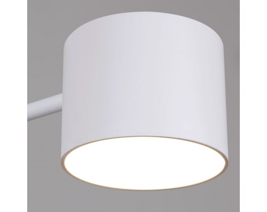 Потолочная люстра Reluce 47206-0.3-06WT
