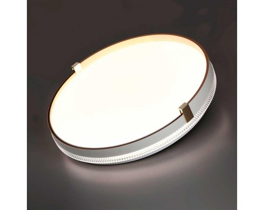 Настенно-потолочный светодиодный светильник Sonex Pale Olidi White 7646/DL