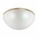 Потолочный светильник Odeon Light Modern Malaga 4936/4C