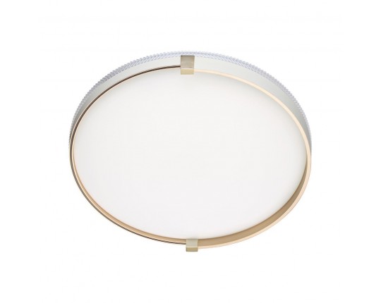 Настенно-потолочный светодиодный светильник Sonex Pale Olidi White 7646/DL