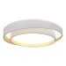 Потолочный светодиодный светильник ST Luce Crosby SLE6009-502-01