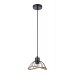 Подвесной светильник Vele Luce Formula VL6482P01