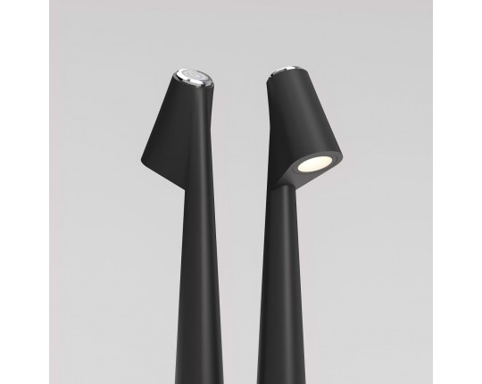 Настольная лампа Elektrostandard Elite TL70250 a068070
