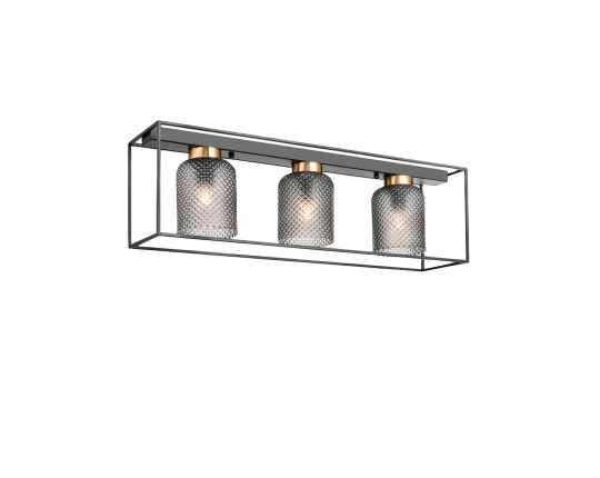Потолочный светильник Vele Luce Morrison VL5472L03