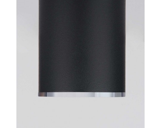 Потолочный светильник Elektrostandard DLN101 GU10 BK черный a043971