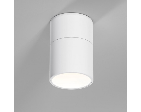 Потолочный светильник Elektrostandard 25112/LED a067487