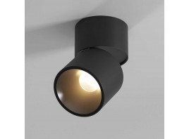 Потолочный светильник Elektrostandard 25112/LED a067488