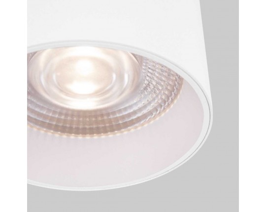Накладной светодиодный светильник Elektrostandard Orson 25034/LED 10W 4200K белый a062930