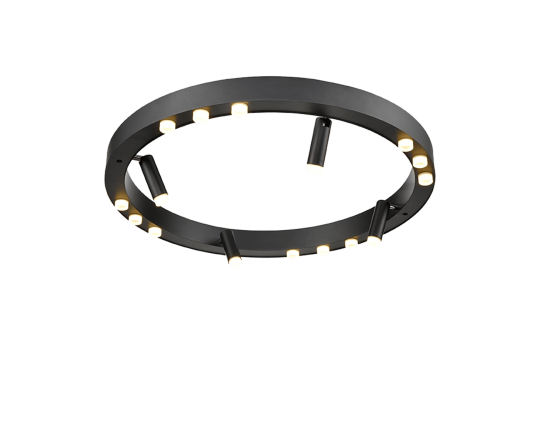 Потолочный светильник Vele Luce Satellite VL7172L12