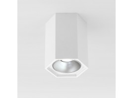 Потолочный светодиодный светильник Elektrostandard 25036/Led a055856