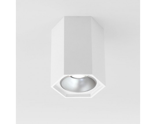 Потолочный светодиодный светильник Elektrostandard 25036/Led a055856