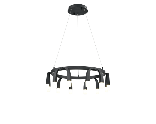 Подвесной светильник Vele Luce Negro VL7102P12