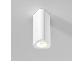 Потолочный светильник Elektrostandard 25110/LED a067063
