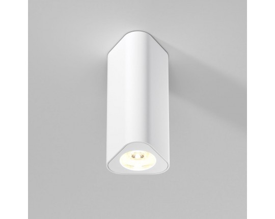 Потолочный светильник Elektrostandard 25110/LED a067063