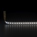 Светодиодная лента Elektrostandard 9,6W/m 120LED/m 2835SMD дневной белый 5M a052960