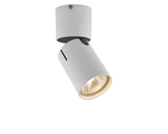 Спот Vele Luce Carrisi VL8061S21