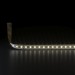 Светодиодная лента Elektrostandard 9,6W/m 120LED/m 2835SMD теплый белый 5M a052959 Светодиодная лента Elektrostandard 9,6W/m 120LED/m 2835SMD теплый белый 5M a052959