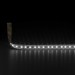 Светодиодная лента Elektrostandard 14,4W/m 60LED/m 5050SMD дневной белый 5M a052966 Светодиодная лента Elektrostandard 14,4W/m 60LED/m 5050SMD дневной белый 5M a052966