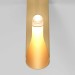 Потолочный светодиодный светильник Elektrostandard Apex 25113/LED a068291