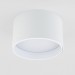 Потолочный светодиодный светильник Elektrostandard 25123/Led Banti 13Вт 4200K a058846
