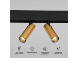 Трековый светодиодный светильник Elektrostandard (Умный дом) Slim Magnetic Dim Dual 85056/01 латунь a063527