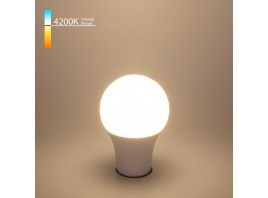 Лампа светодиодная Elektrostandard E27 20W 4200K матовая a052539