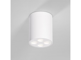 Потолочный светильник Elektrostandard 25111/LED a067483