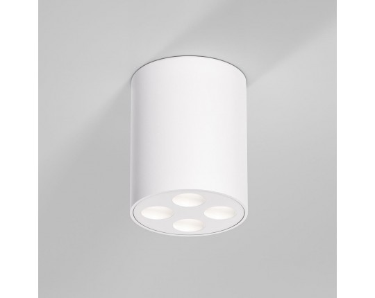Потолочный светильник Elektrostandard 25111/LED a067483