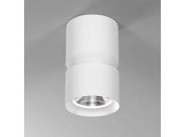 Потолочный светодиодный светильник Elektrostandard Kayo 25049/LED 12W 4000К белый a064730