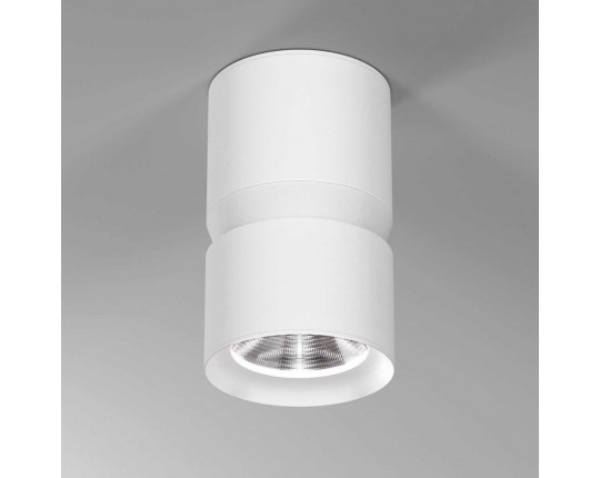 Потолочный светодиодный светильник Elektrostandard Kayo 25049/LED 12W 4000К белый a064730