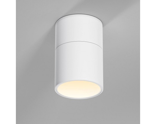 Потолочный светильник Elektrostandard 25112/LED a067486