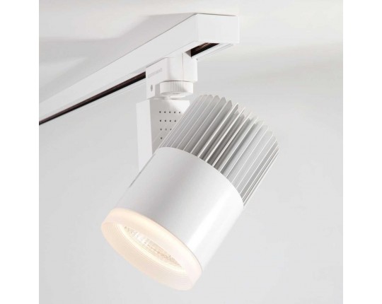 Трековый светодиодный светильник Elektrostandard Accord 20W 4200K a039437