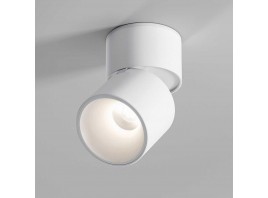 Потолочный светильник Elektrostandard 25112/LED a067487