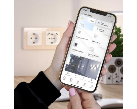 Электропривод для запорного крана Wi-Fi Elektrostandard (Умный дом) 76260/00 a060342
