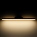 Подсветка для зеркал Elektrostandard Protect LED чёрный MRL LED 1111 a052871