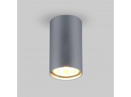 Потолочный светильник Elektrostandard 1081 5257 GU10 SL серебро a037714