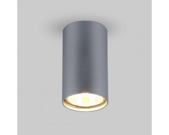 Потолочный светильник Elektrostandard 1081 5257 GU10 SL серебро a037714