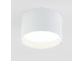 Потолочный светодиодный светильник Elektrostandard 25123/Led Banti 13Вт 4200K a058846