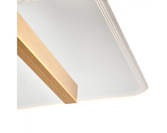 Потолочный светильник Vele Luce Futuro VL7224L21