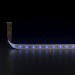 Светодиодная влагозащищенная лента Elektrostandard 14,4W/m 60LED/m 5050SMD синий 5M a052976
