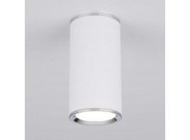 Потолочный светильник Elektrostandard DLN101 GU10 WH белый a043967