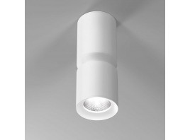 Потолочный светодиодный светильник Elektrostandard Kayo 25048/LED 12W 4000К белый a064727