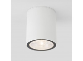 Уличный светодиодный светильник Elektrostandard Light 35131/H белый a056230