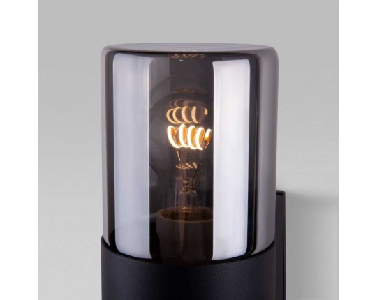 Уличный настенный светильник Elektrostandard Roil 35125/D a055636