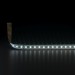 Светодиодная лента Elektrostandard 9,6W/m 120LED/m 2835SMD холодный белый 5M a052961